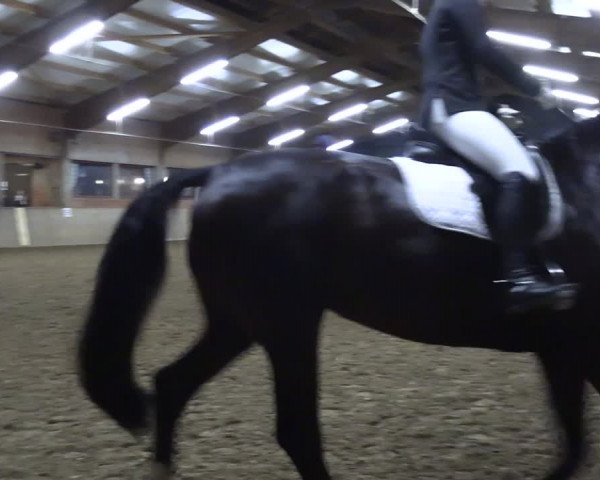 Reitturnier Lembeck 2024