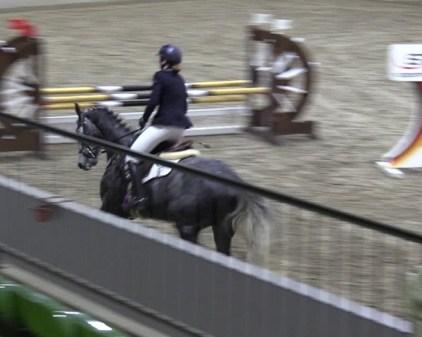 Reitturnier Luhmühlen 2024