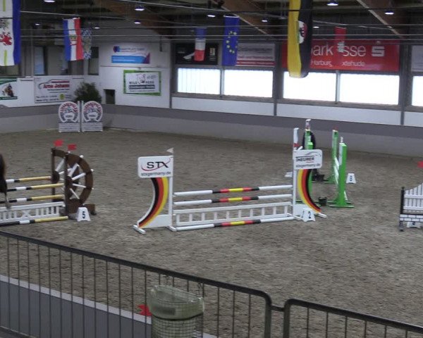 Reitturnier Luhmühlen 2024
