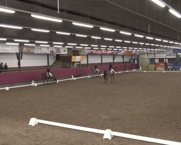 Reitturnier Vlotho-Exter 2024