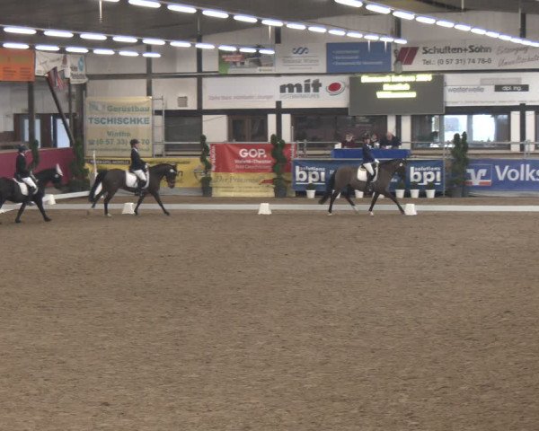Reitturnier Vlotho-Exter 2024