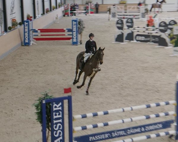 Reitturnier Borken 2024