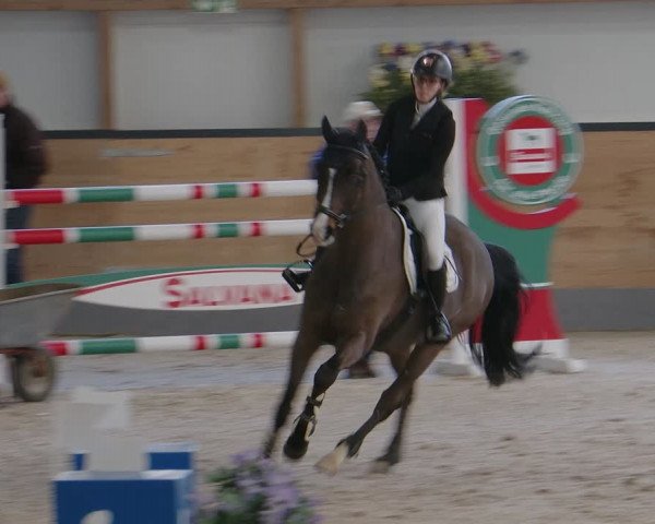 Reitturnier Borken 2024