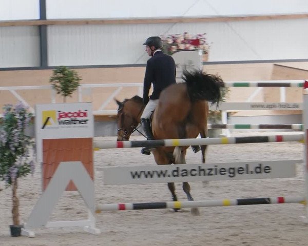 Reitturnier Borken 2024