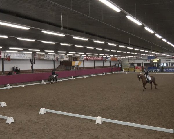 Reitturnier Vlotho-Exter 2024