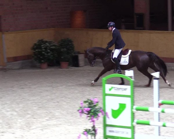 Reitturnier Hamburg-Friedrichshulde/Sylva Kuhrt 2024
