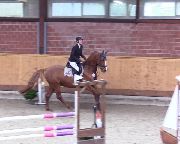 Reitturnier Hamburg-Friedrichshulde/Sylva Kuhrt 2024