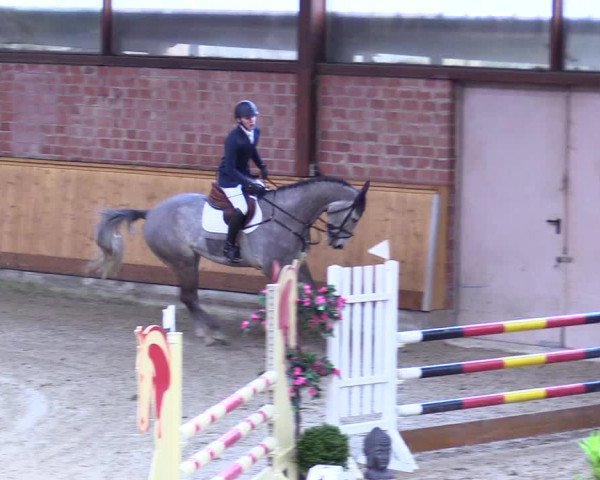 Reitturnier Hamburg-Friedrichshulde/Sylva Kuhrt 2024