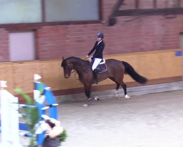 Reitturnier Hamburg-Friedrichshulde/Sylva Kuhrt 2024