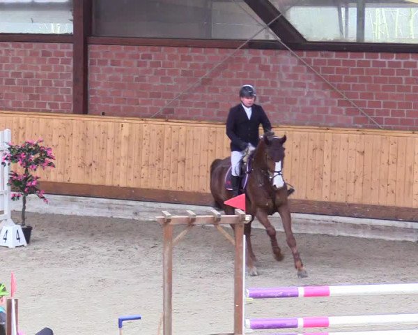 Reitturnier Hamburg-Friedrichshulde/Sylva Kuhrt 2024