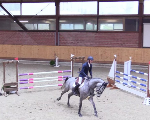 Reitturnier Hamburg-Friedrichshulde/Sylva Kuhrt 2024