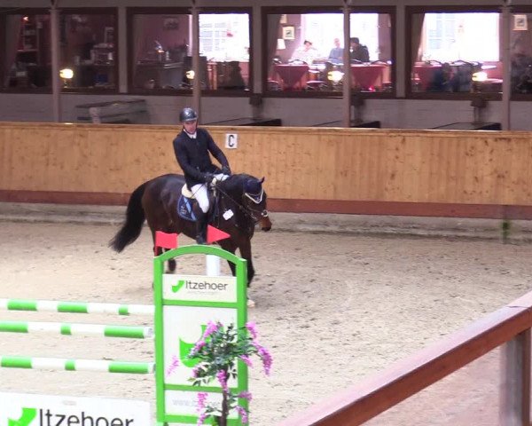 Reitturnier Hamburg-Friedrichshulde/Sylva Kuhrt 2024