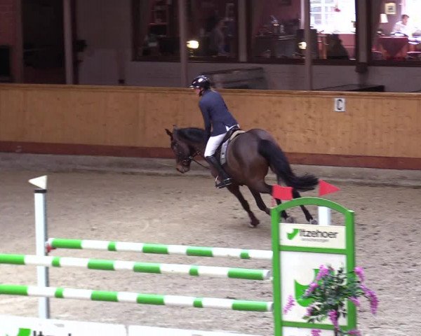 Reitturnier Hamburg-Friedrichshulde/Sylva Kuhrt 2024