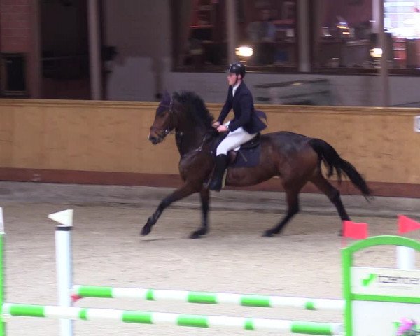 Reitturnier Hamburg-Friedrichshulde/Sylva Kuhrt 2024