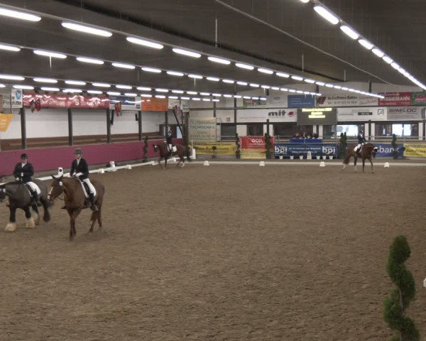Reitturnier Vlotho-Exter 2024