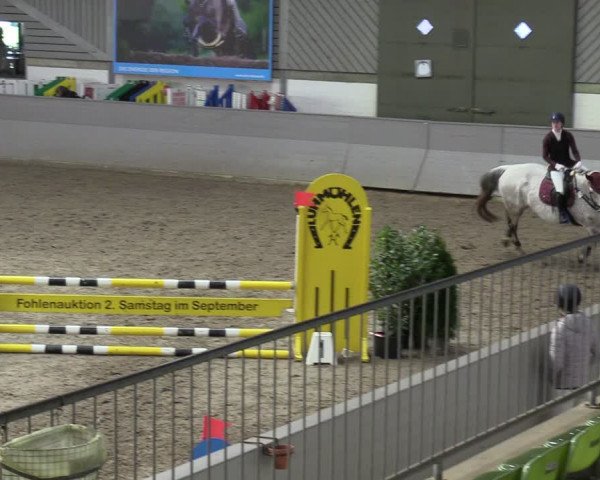 Reitturnier Luhmühlen 2024