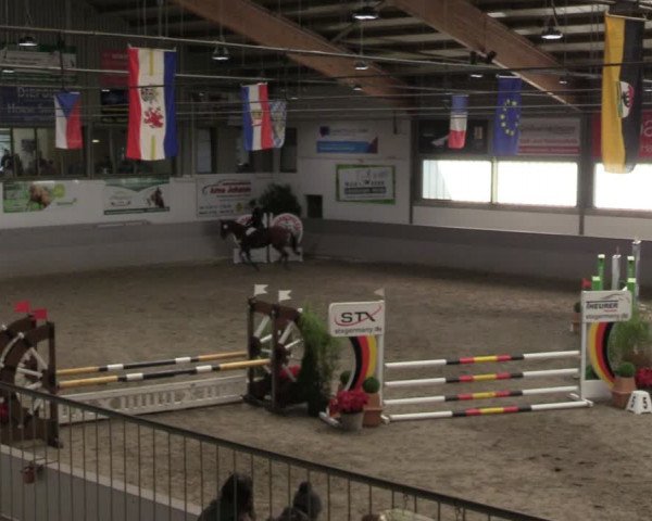 Reitturnier Luhmühlen 2024