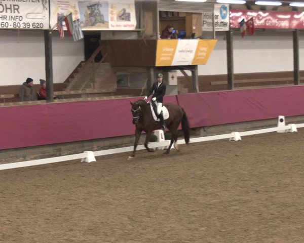 Reitturnier Vlotho-Exter 2024