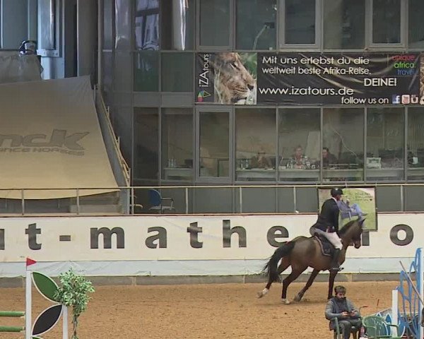 Reitturnier Kreuth/Opf. 2024