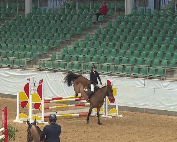 Reitturnier Kreuth/Opf. 2024