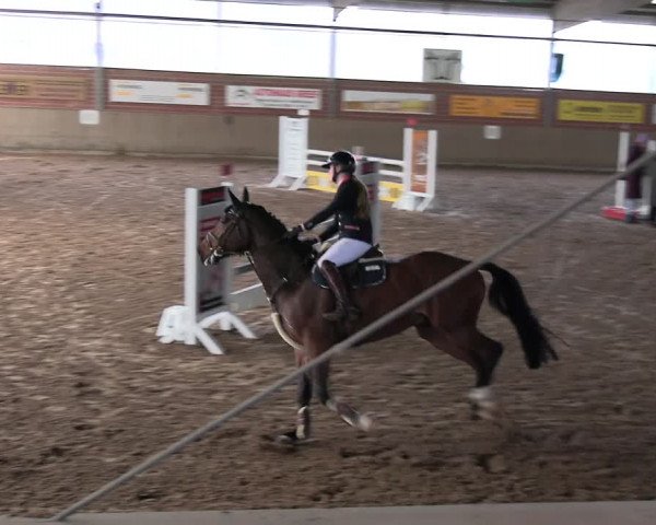 Reitturnier Lembeck 2024