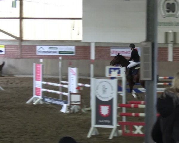 Reitturnier Lembeck 2024