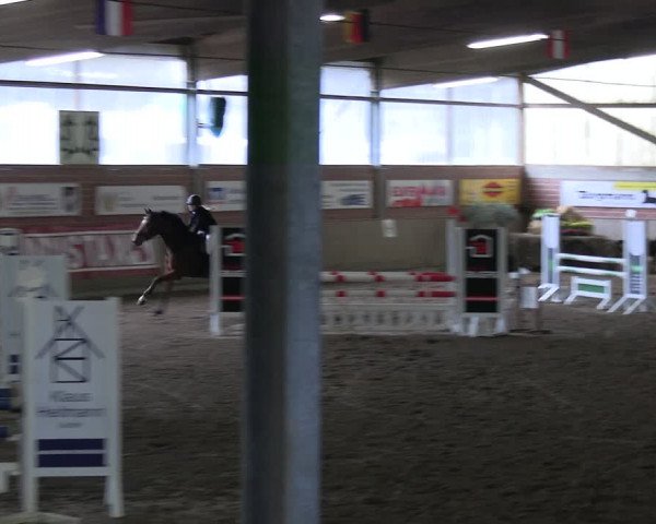 Reitturnier Lembeck 2024