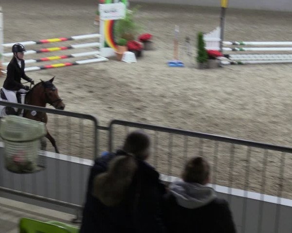 Reitturnier Luhmühlen 2024