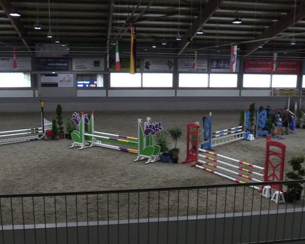 Reitturnier Luhmühlen 2024