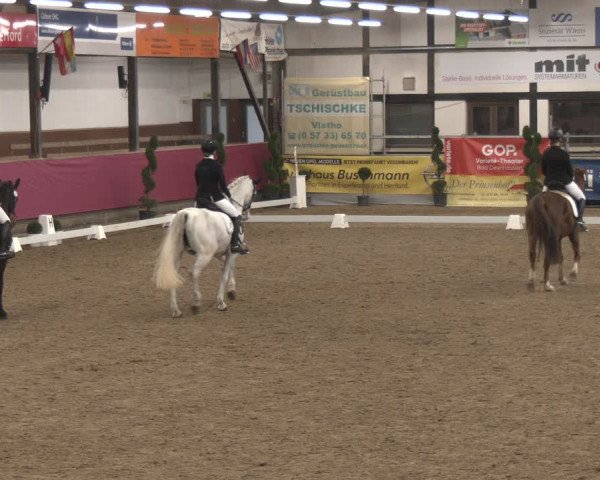 Reitturnier Vlotho-Exter 2024