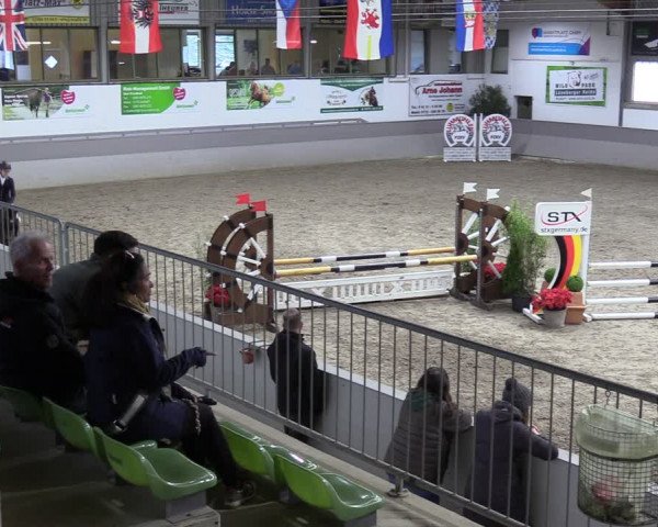 Reitturnier Luhmühlen 2024