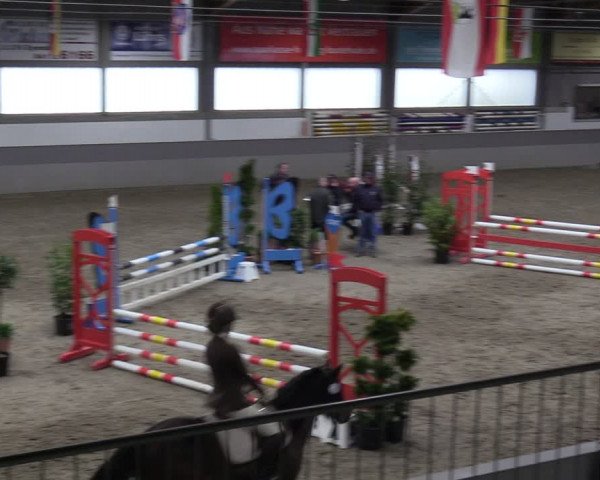 Reitturnier Luhmühlen 2024