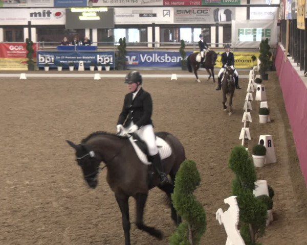 Reitturnier Vlotho-Exter 2024