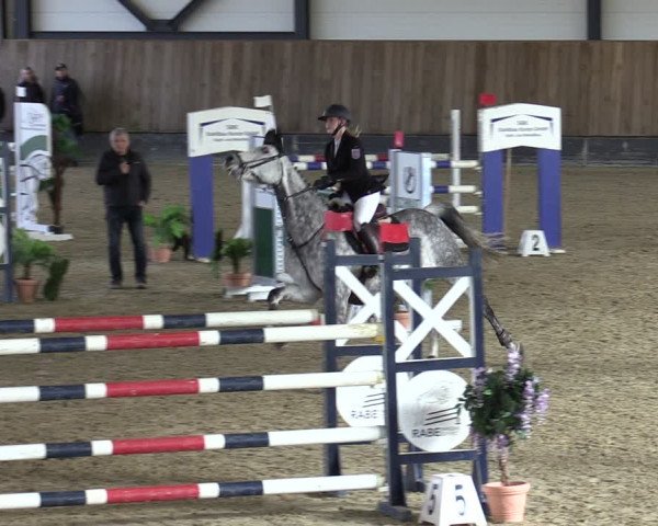 Reitturnier Zwickau 2024