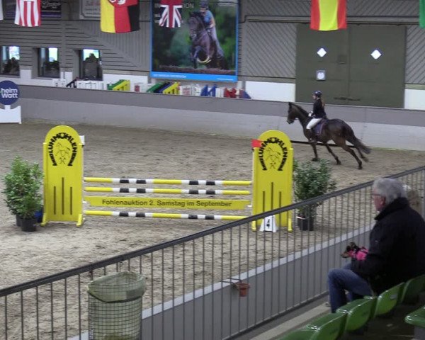 Reitturnier Luhmühlen 2024