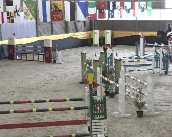 Reitturnier Erlen 2024