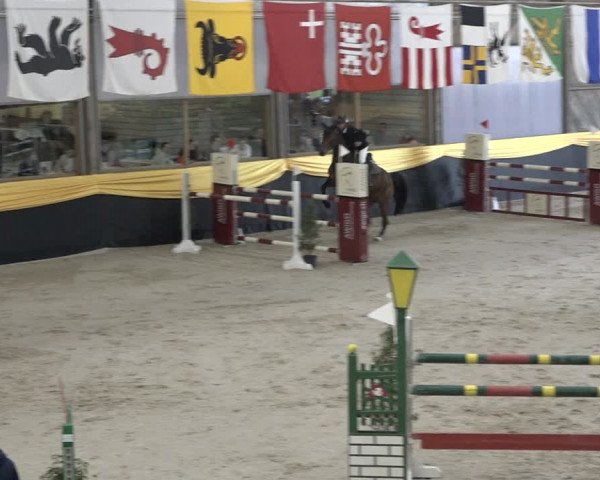 Reitturnier Erlen 2024