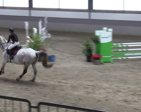 Reitturnier Luhmühlen 2024