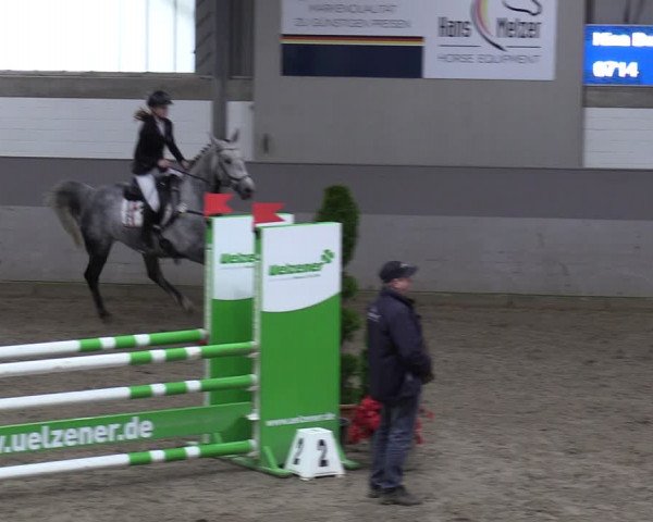 Reitturnier Luhmühlen 2024