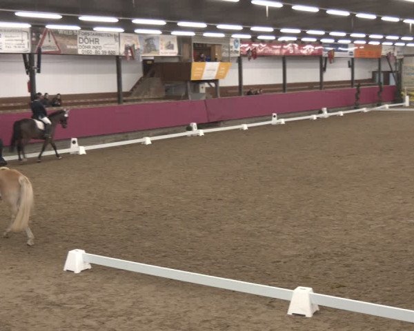 Reitturnier Vlotho-Exter 2024