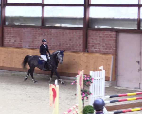Reitturnier Hamburg-Friedrichshulde/Sylva Kuhrt 2024