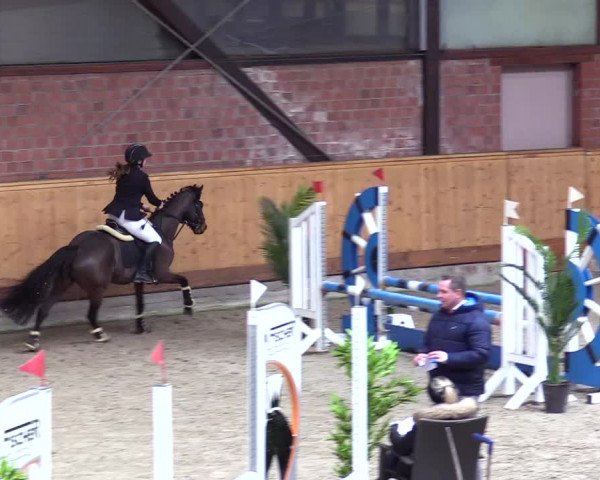 Reitturnier Hamburg-Friedrichshulde/Sylva Kuhrt 2024