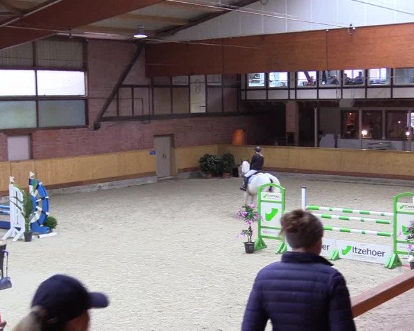 Reitturnier Hamburg-Friedrichshulde/Sylva Kuhrt 2024