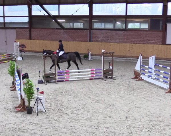 Reitturnier Hamburg-Friedrichshulde/Sylva Kuhrt 2024