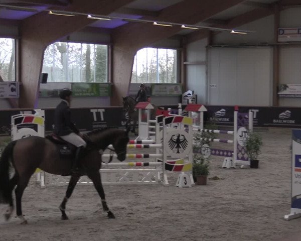 Reitturnier Goch-Asperden 2024