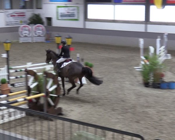 Reitturnier Luhmühlen 2024