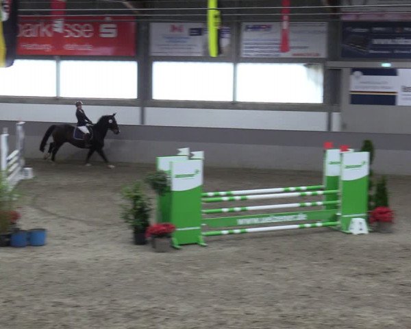 Reitturnier Luhmühlen 2024