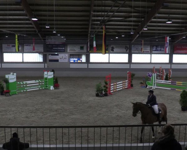 Reitturnier Luhmühlen 2024