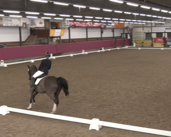 Reitturnier Vlotho-Exter 2024