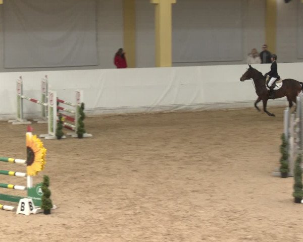 Reitturnier Stadl-Paura 2024